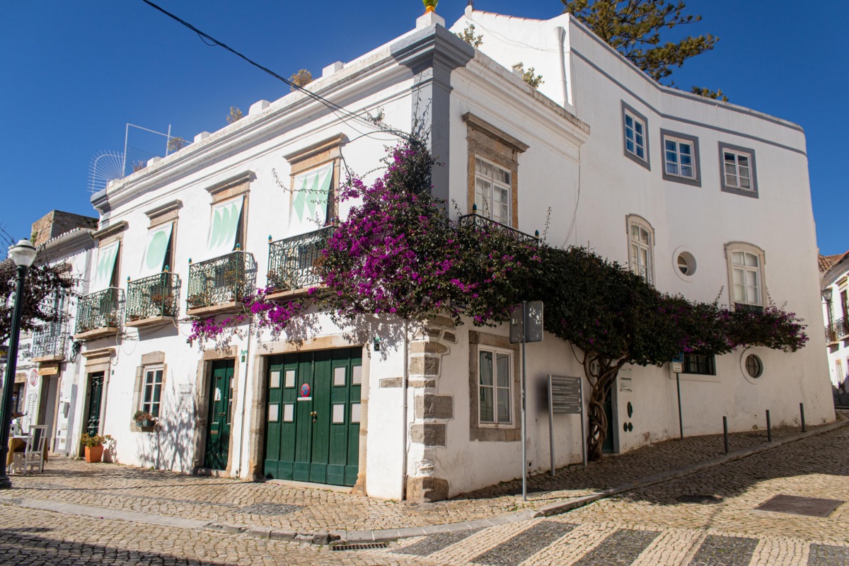 Bougainvillea-on-buildings-in-Tavira.jpg